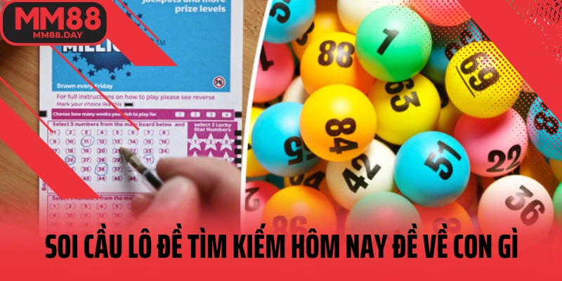 soi-cau-lo-de-tim-kiem-hom-nay-de-ve-con-gi