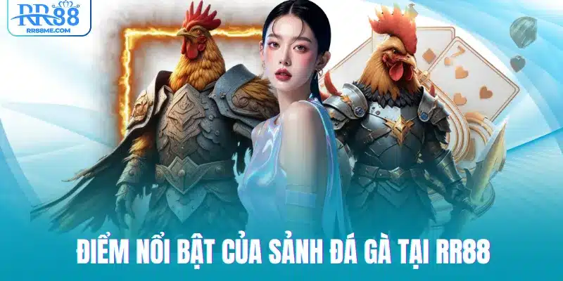 Điểm nổi bật của sảnh đá gà tại RR88